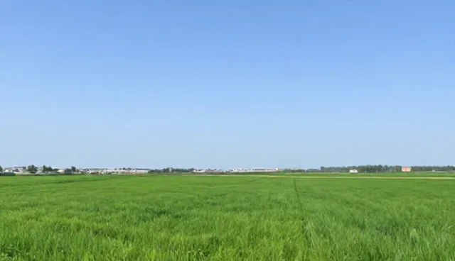 广告设计制作中策划选型的实用建议